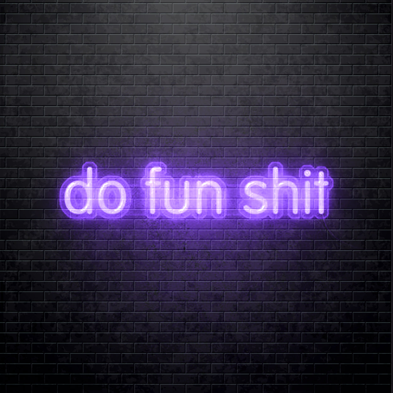 LED Neon sign - Do Fun Shit